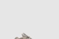 [YEEZY-이지부스트]500 토프라이트 GX3605