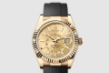 [ROLEX-롤렉스]스카이 드웰러 42 336238