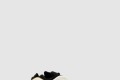 [YEEZY-이지부스트]700 V3 홍화 G54853