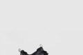 [BALENCIAGA-발렌시아가]트랙 시그니처 스니커즈 542436