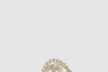 [CHANEL-샤넬]링 ABG296